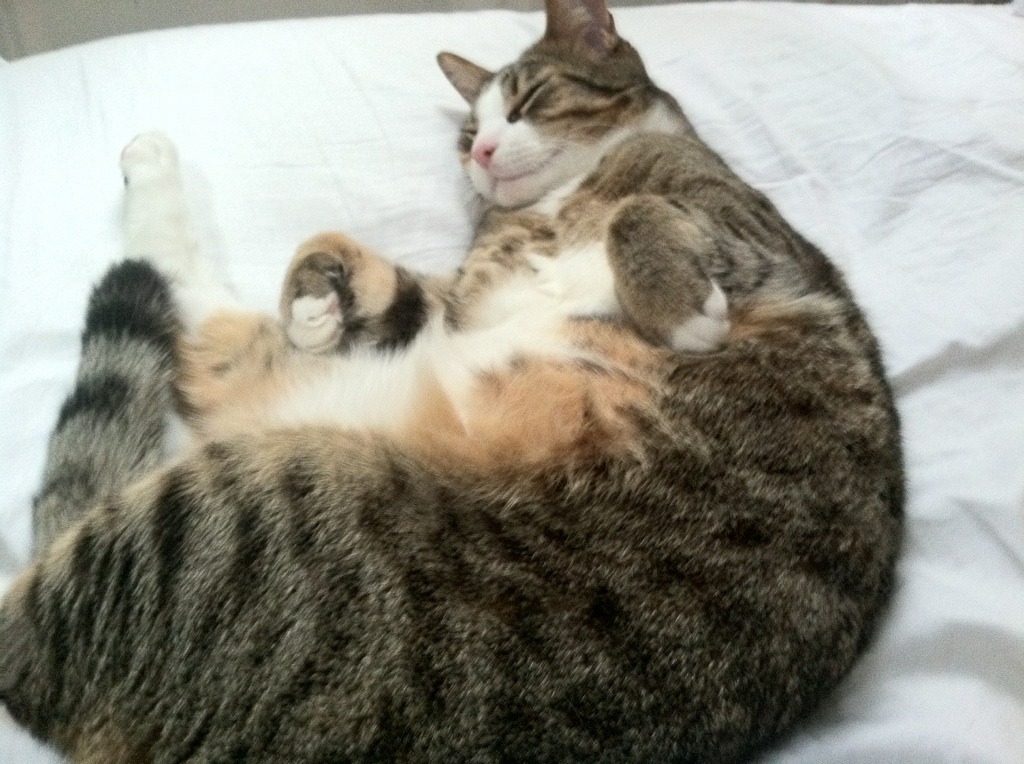 _新兴户外运动:攀岩、漂流一站式体验_,国内户外攀岩场地推荐