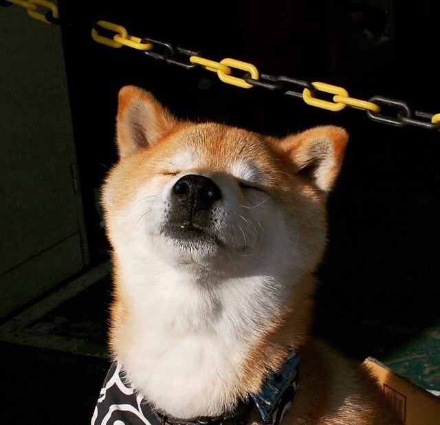 开云·体育官网APP下载-“青少年足球训练营开营，引领青少年足球新风潮”，青少年足球训练营文化节手抄报