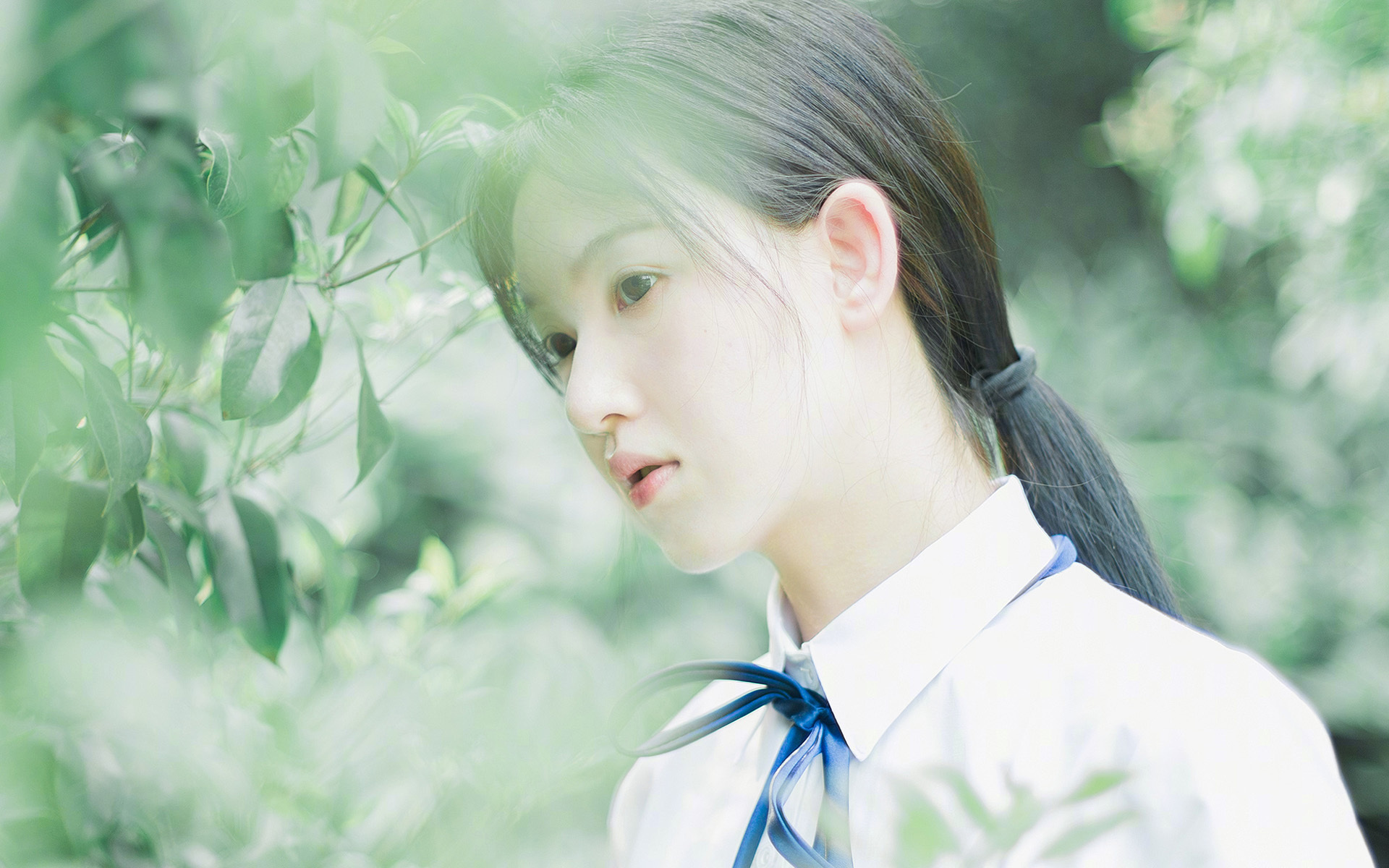 逆转“梦幻之夜”:欧冠舞台上的奇迹回忆,欧冠梦幻球场