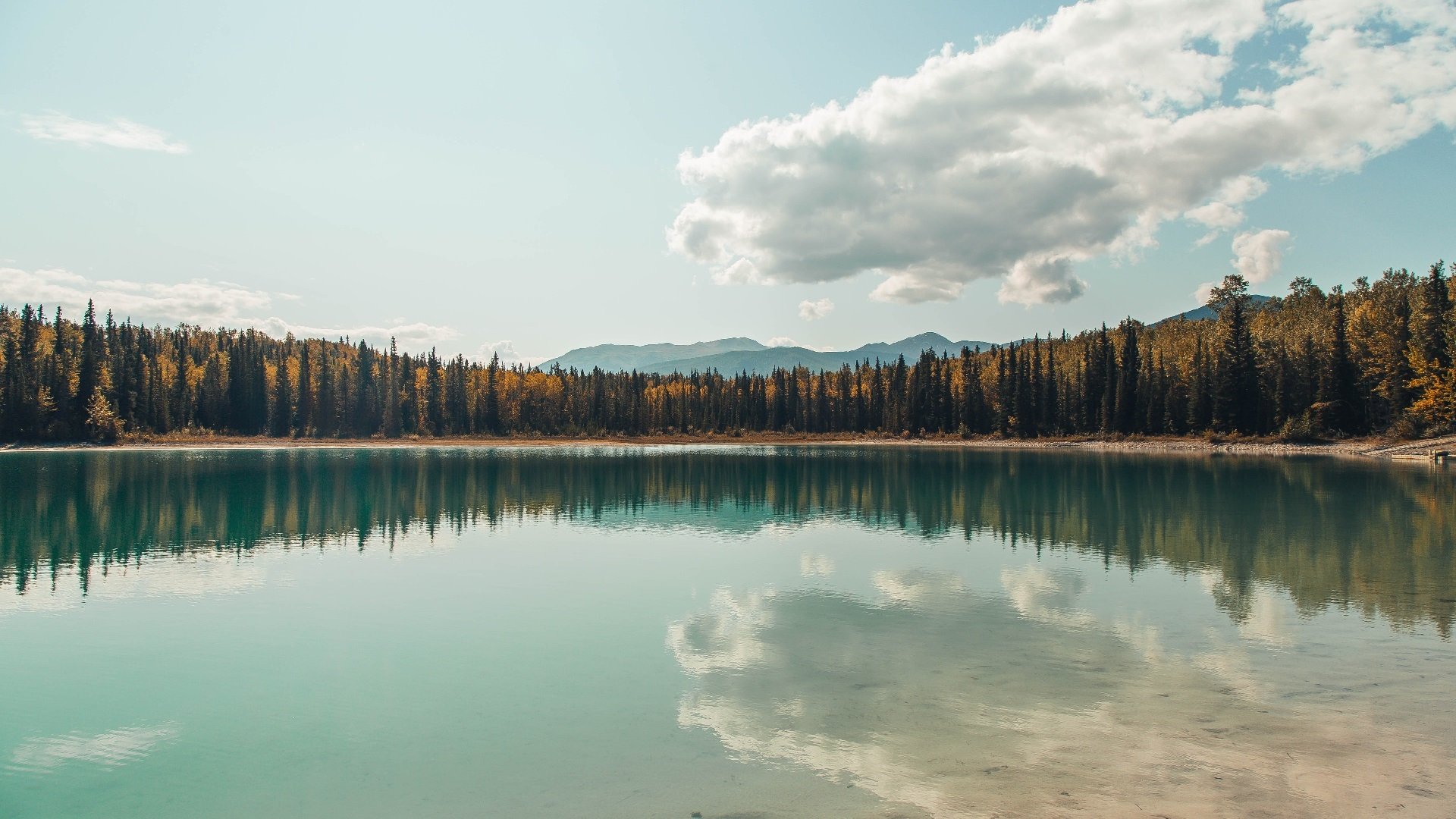 开云·体育官网APP下载-山西汾酒 防守效率提升，山西汾酒如何