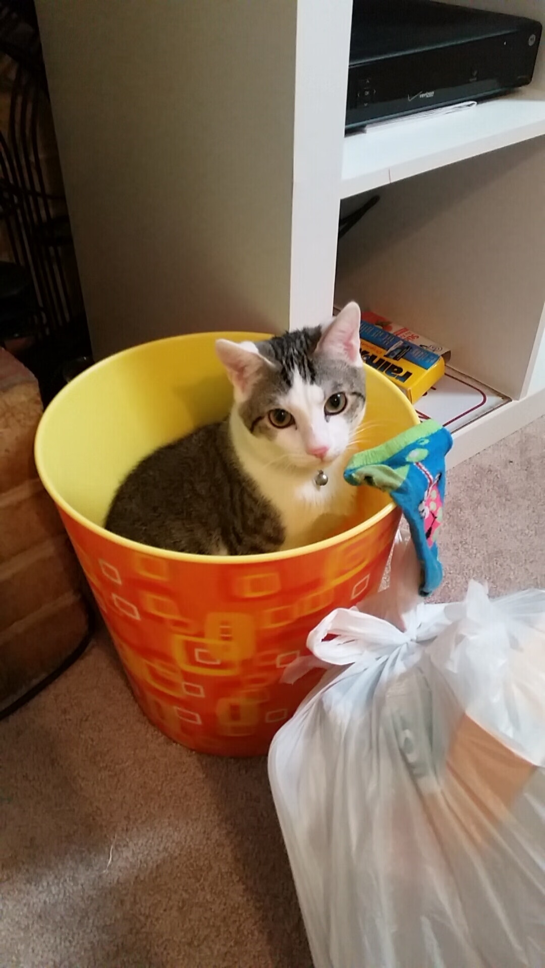 Kaiyun(中国)开云-曼城大胜对手，欧冠四强之路一马平川！，曼城晋级欧冠四强