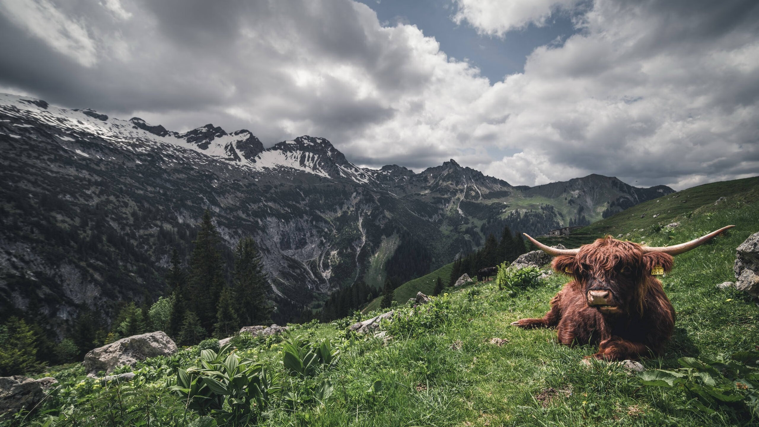 李轩豪夺冠！2024第四届“湾区杯”中国围棋大棋士赛圆满落幕