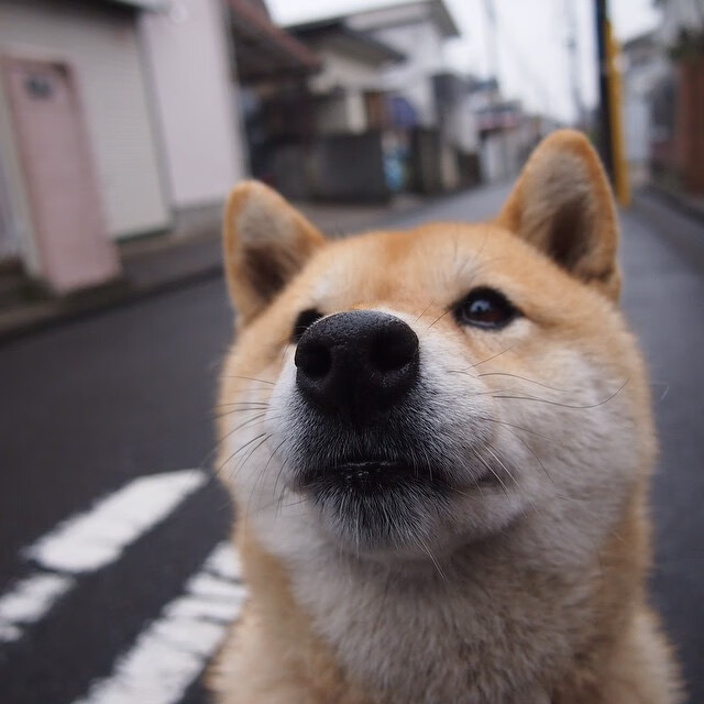 电竞职业选手饮食营养与体能训练结合的科学指导,电竞选手伙食