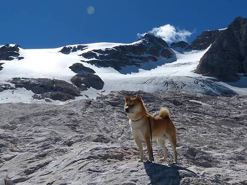 kaiyun体育综合-电竞明星访谈：未来展望，电竞人物访谈