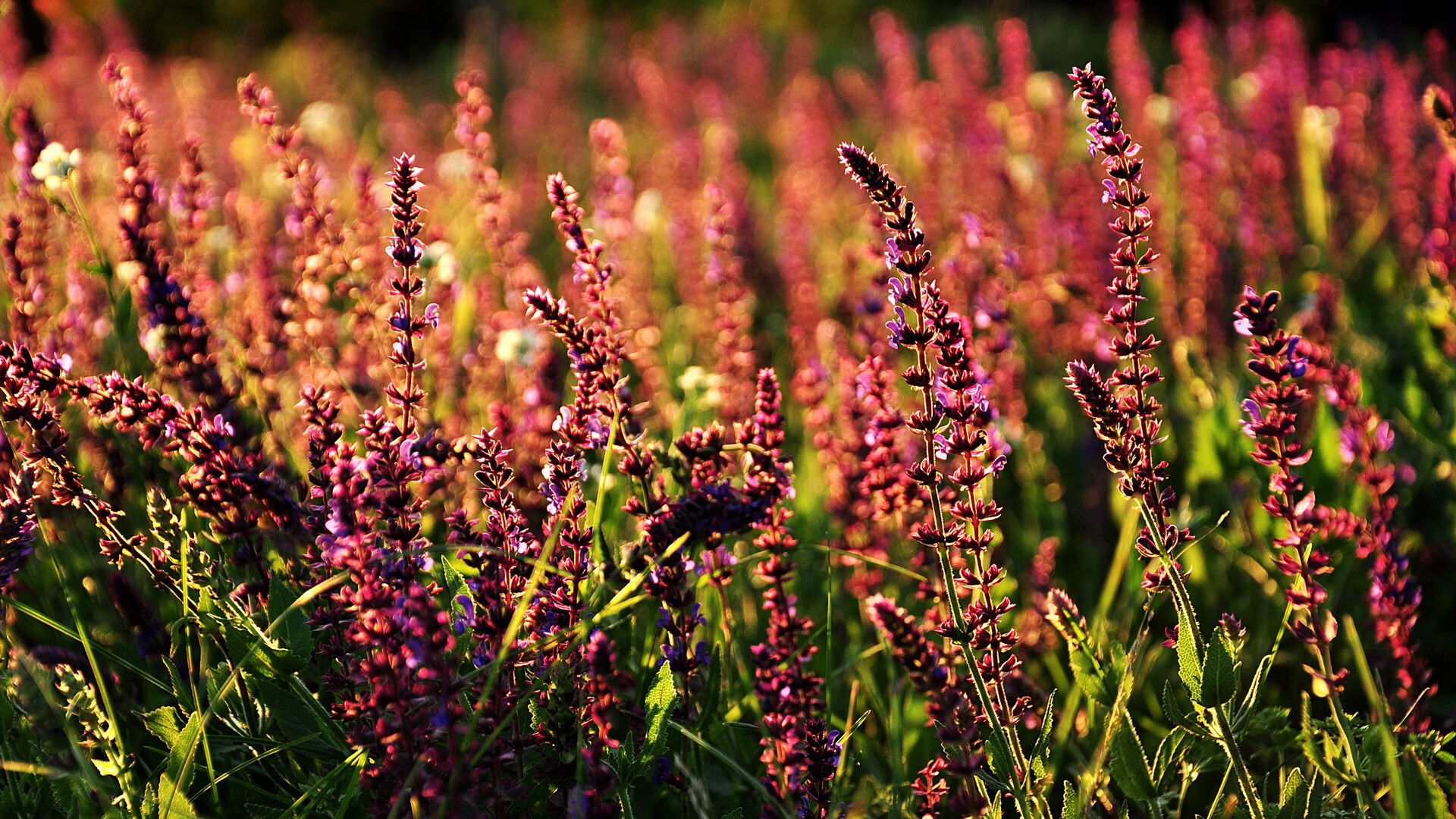 赛事裁判规则细则更新，赛事裁判规则细则更新了吗