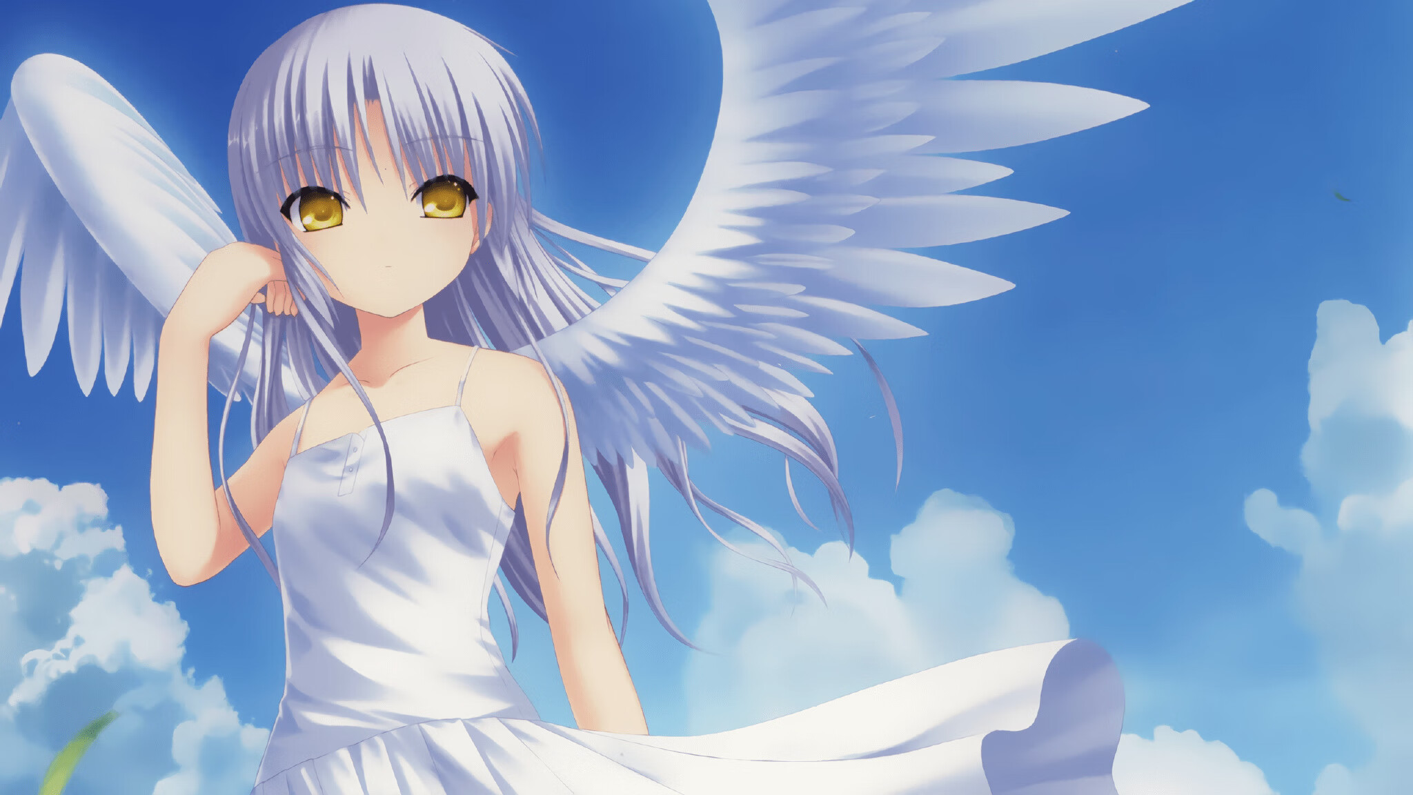 美国骑手马库斯·奥尔洛布在巴黎奥运会上与“Jane”马匹共同参赛，尽管因马匹受伤被迫退出，但展现了坚强意志。