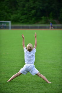 开云官网APP下载-高校体育专业课程体系动态调整研究，全国普通高校体育教育专业课程方案