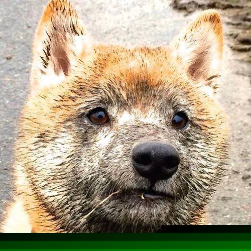 开云平台-“2025世界游泳锦标赛：水上芭蕾展现泳池艺术魅力”