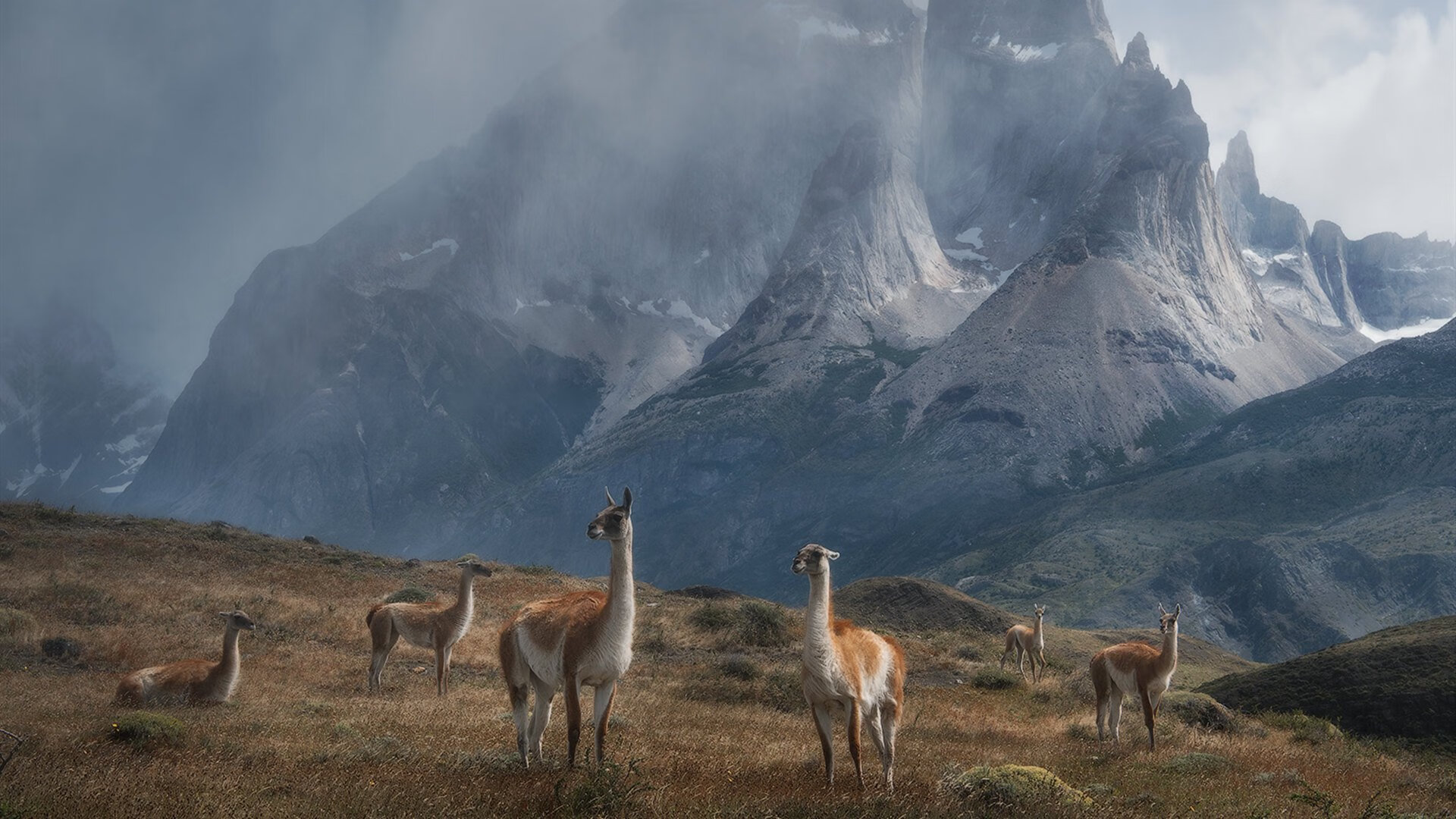 开云·体育官网APP下载-中国女篮团队文化建设增强凝聚力，女篮团队精神