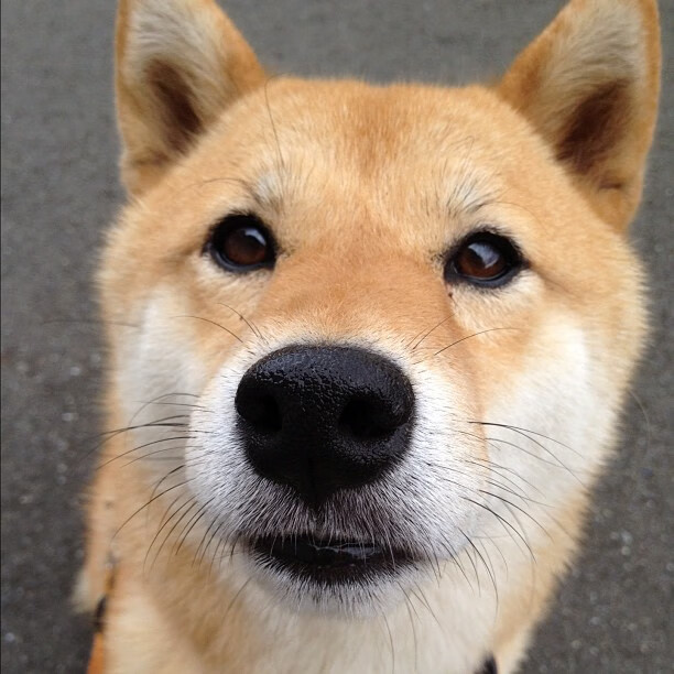 恩波利边中结合撕开防守空档制造机会,恩波利vs拉齐奥比分预测