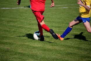 开云网页版-中小学篮球教研活动不断创新教学方法提升训练效果，篮球教研活动总结