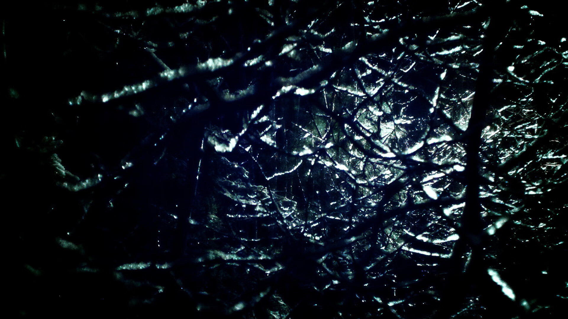 开云中国-决赛对抗激烈 克莱尔展现大将之风，克莱尔完成比赛