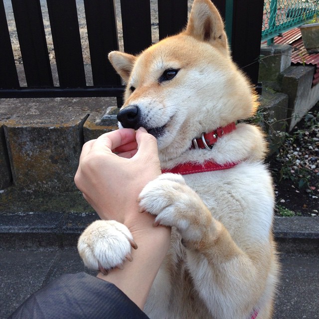 kaiyun中国官方网站-卡特的进攻组织能力，是全黑队制胜的关键之一，卡特进攻集锦