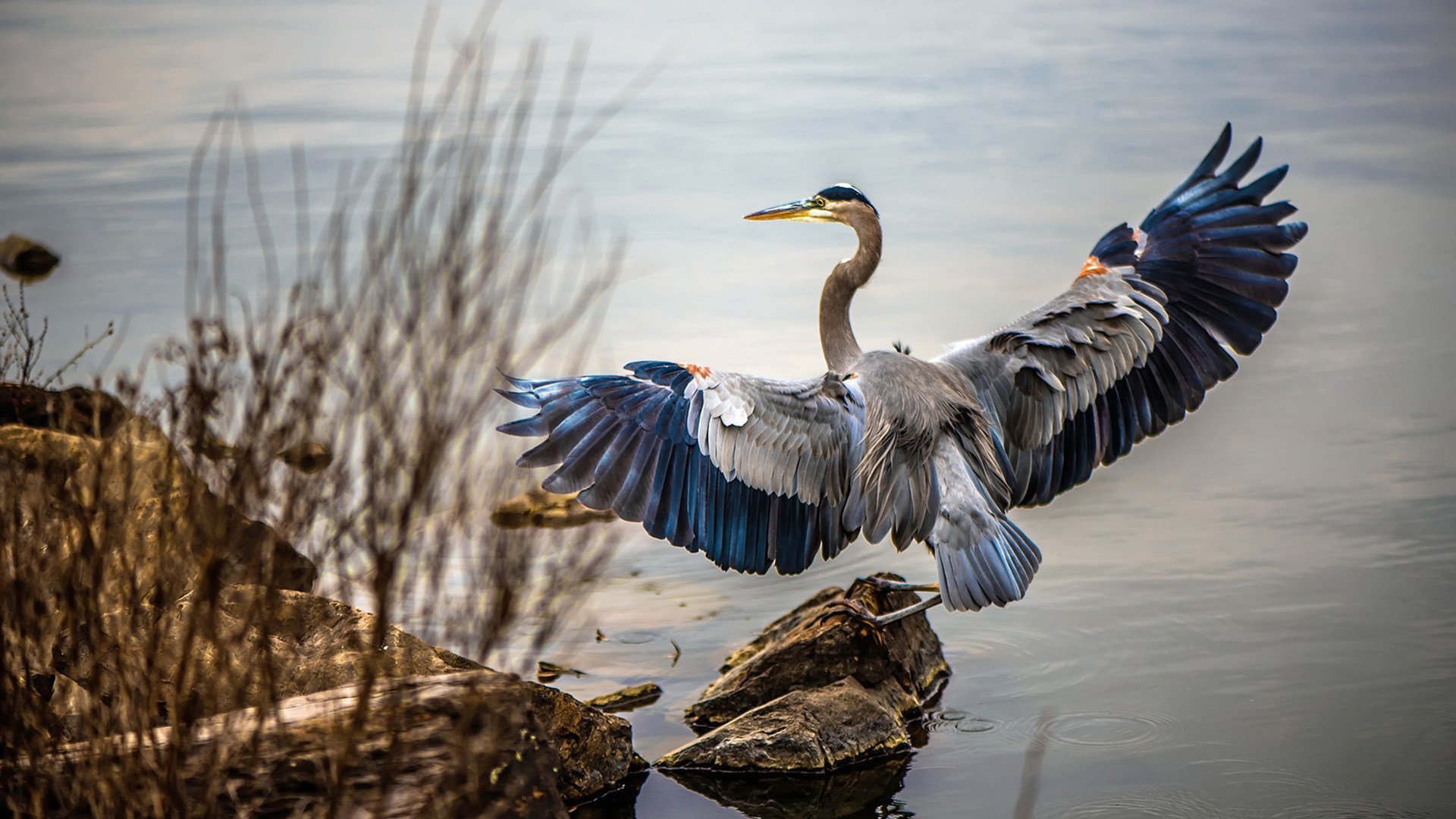 kaiyun中国官方网站-斯洛伐克女篮在欧洲锦标赛中拼搏到底，期待奥运门票，斯洛伐克 欧洲杯