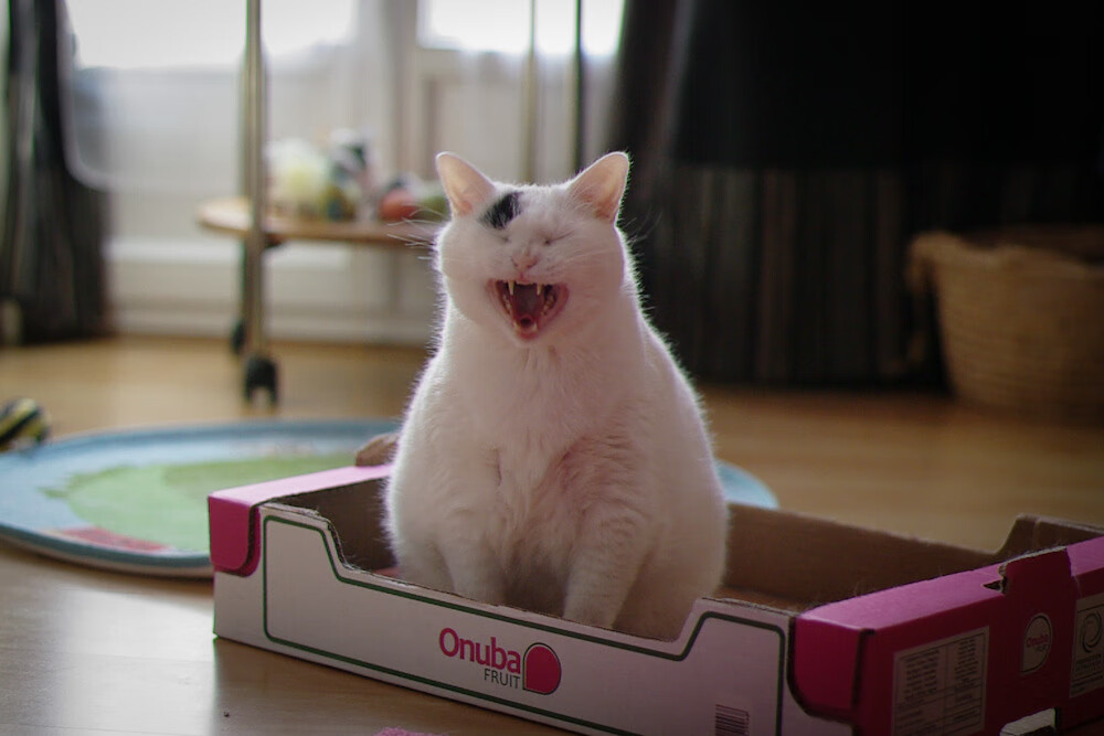 kaiyun网站-欧洲杯倒数第四秒的传球：精彩托盘让人屏息，欧洲杯传奇