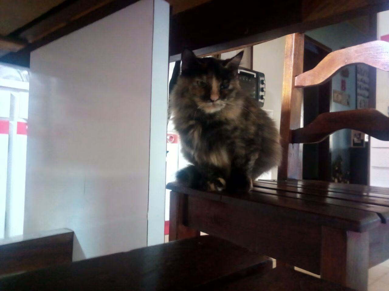 西甲攻防巅峰:精彩瞬间不断刷新纪录!,西甲攻略