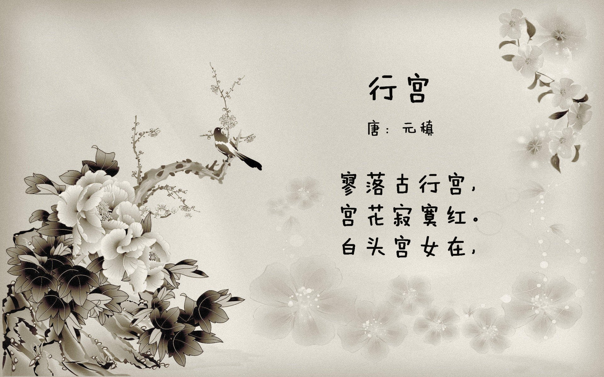 麦考的领导风范，成为全黑队历史的象征，麦考3个总冠军