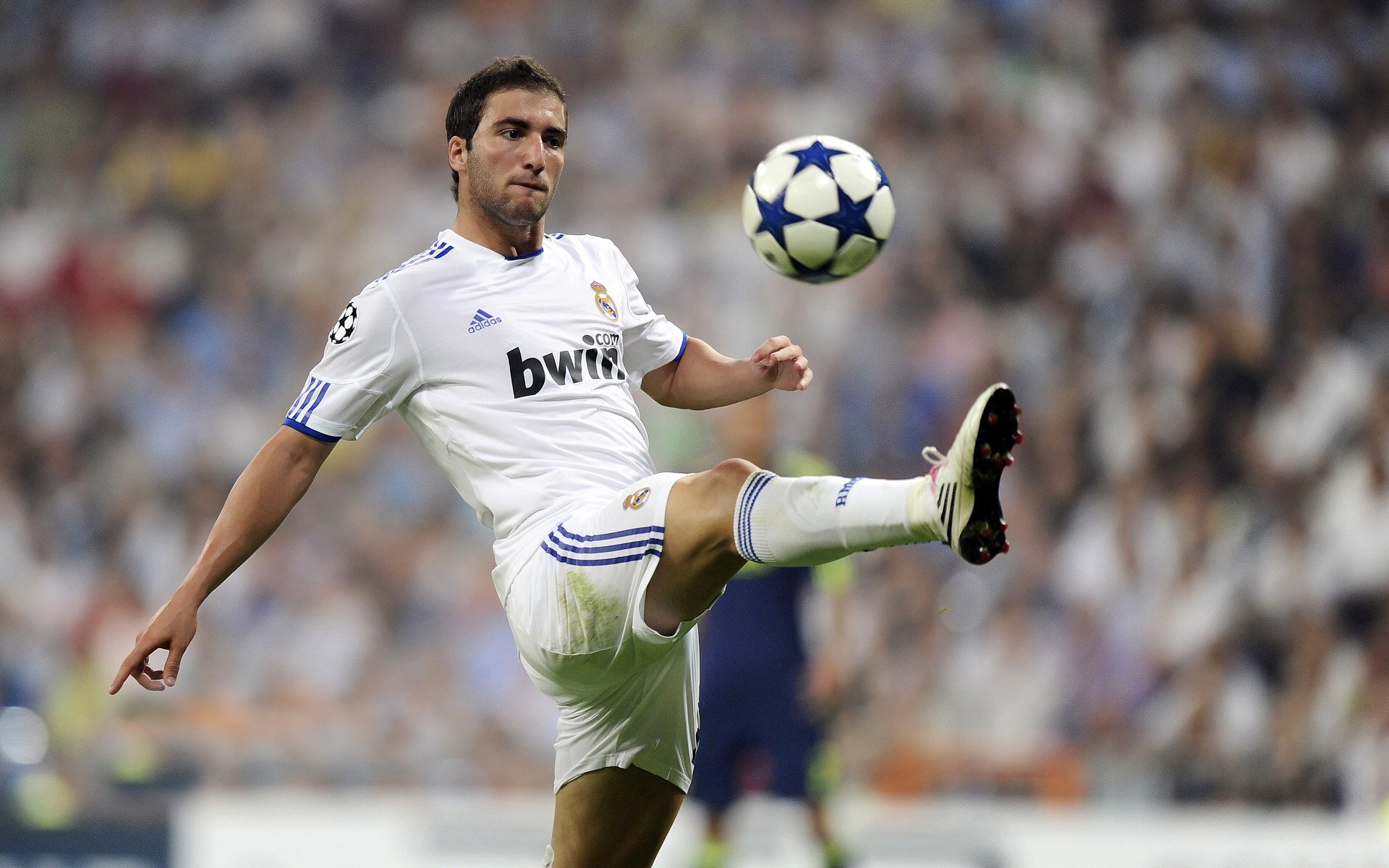 后场突袭：精彩快攻引爆全场，后场百科